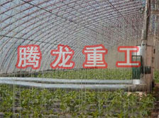 大棚花卉供暖設(shè)備、大棚卉采暖設(shè)備、大棚花卉取暖設(shè)備