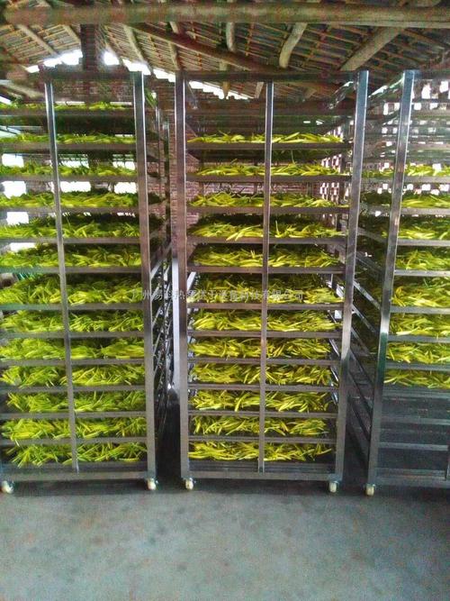 黃花菜烘干機、黃花菜烘干設(shè)備、黃花菜干燥機、黃花菜干燥設(shè)備、